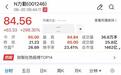 开盘狂拉300%！镍龙头力勤资源上市首日临停，中签者赚翻