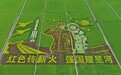 稻田作画绘山河