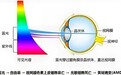 世界杯观赛用眼健康不容忽视，护眼电视首选RGB-Mini LED机型