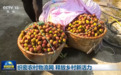 视频｜织密农村物流网 释放乡村新活力