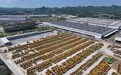 向海而聚，平陆运河织密“叶脉式”向海产业布局(2)