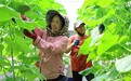 融入都市圈，辽源果蔬“鲜”行一步