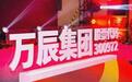 一文看懂万辰集团