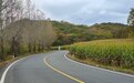 哈尔滨完成农村公路整治4000余条