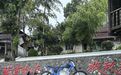 张雪老宅成网红打卡地，村支书：想请他代言矿泉水，打“张雪牌”搞好乡村建设