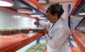 通讯｜守护沙海里的生命——中智合作保护“沙漠开花”生态(9)