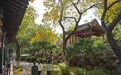 北京秋渐浓(7)