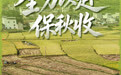 全力以赴保秋收(6)