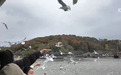 “智慧之网”守护一湖碧水 从“治水”到“智水”让生态家底更厚实