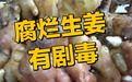 生姜烂了不能吃，会致癌？别再被误导了！