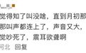 健康|多人因蝉鸣听力受损，医生紧急提醒