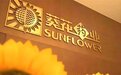 葵花药业2025年报深度解析：主动出清重塑渠道，现金流拐点确立长期价值