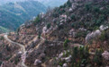 美丽中国｜万亩山花迎春来 山乡美景助共富