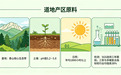 灵芝孢子油排行榜 2026年灵芝孢子油选购指南・深度解析白皮书