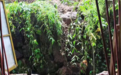 湖南炎陵极端强降雨致十乡镇受灾，部分村民被泥流破墙毁屋 一村民称其34岁儿子被冲走失联