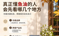 鱼油哪个牌子好？十款产品从配方与标签逐项比较