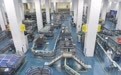 呼和浩特：工业文旅赋能“世界乳都”建设(7)
