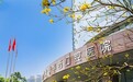 成都看牙指南：四大王牌医院深度对比（华西口腔、安玉、华誉、华怡）