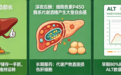 冒个泡什么品牌好？护肝片选购指南：2026 年护肝片挑选，抓牢成分、吸收、功效三大关键