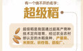 新华社权威速览｜30年，这粒种子守护大国粮仓