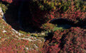 美丽中国丨秋染西狭颂 峡谷入画来(4)#