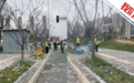快评丨环卫工用长杆打落路边花朵？“乌龙”背后仍有警示价值