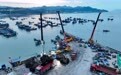 “海上粮仓”——福建霞浦迎来海带丰收季(2)