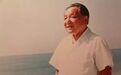 刘诗昆：我为邓小平“送子弹”