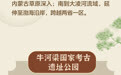 长图丨文明探源 走近牛河梁：与红山文化“对话”
