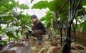 云南宣威：教体融合 欢乐开学(3)