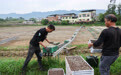 重庆永川：自动育秧助春耕