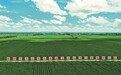 从一根玉米到系列主食：北京方圆的四平玉米品牌战略实践