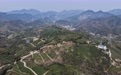 浙江武义：中国有机茶之乡春茶全面开采(1)