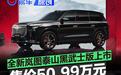 全新岚图泰山黑武士版上市 售价50.99万元