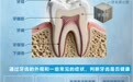 图说百科丨全国爱牙日·健康口腔 健康生活