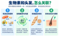 2026年压力大掉发严重怎么选？养发内服保健品品牌解析