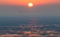 美丽中国｜水镜映秋色 芦荡藏鸟音(7)#