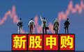 大盘股来了！1亿股发行，下周这三只新股谁最香