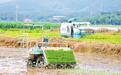 云南省首个水稻智慧农场在西双版纳建成