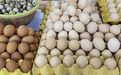 鸡蛋价格暴涨