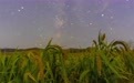 星空相册丨“星”耀“北大仓”：黑土地上演别样丰收浪漫(6)#