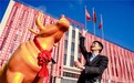乳酸菌顶流实锤——吾尚实业