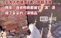 会“看人下菜碟”的戏精小羊，用最可爱的方式展现了大自然的生存智慧