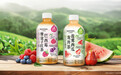 茶果交融，轻盈入夏  三得利巴西莓覆盆子红茶、莲雾西瓜龙井茶全新上市