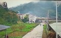 重庆巫溪有熊出没咬伤老人？卫生院工作人员：老人腿部被抓伤，已为其打疫苗