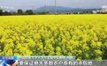 视频丨“大稳定、小调整” 专家详解土地二轮延包政策
