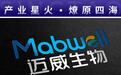 三度IPO终获通行，但董事长被罚的迈威生物仍在“超负荷”运转