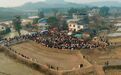 数千人到场，10万人围观，“杀年猪”凭啥让全网提前过年