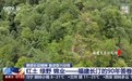 赓续长征精神 奋进复兴征程丨红土 绿野 锦业 这是福建长汀的90年答卷
