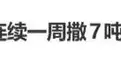 杭州回应“西湖连续一周撒7吨漂白粉”